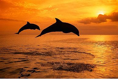 数毛社：PS6很可能配备24GB内存 用于机器学习和高级光追